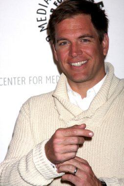 Michael Weatherly'nin