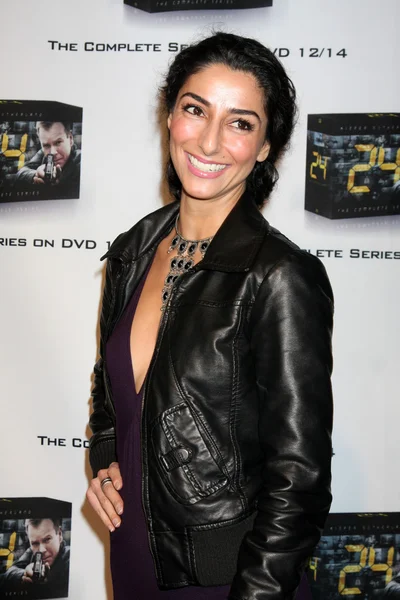 Necar Zadegan — Stock Photo, Image