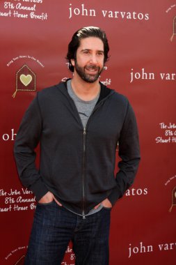 David Schwimmer