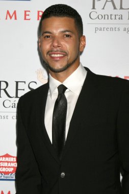 Wilson cruz