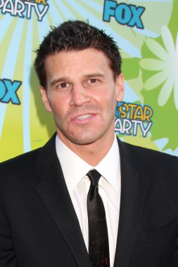 David Boreanaz
