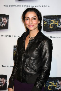 Necar Zadegan
