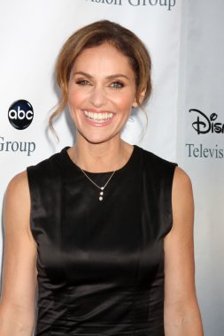 Amy Brenneman
