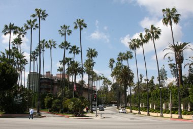 beverly hills otel