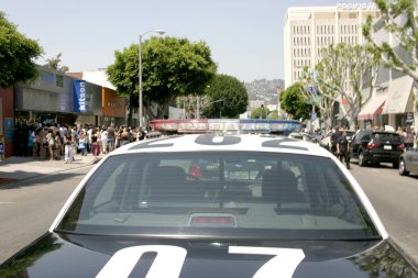 Polis Robertson blvd kes