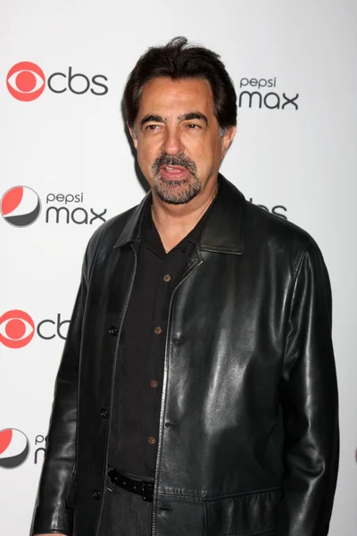 Joe Mantegna. — Fotografia de Stock