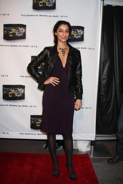 Necar Zadegan — Stockfoto