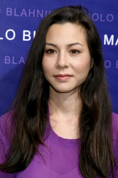 China Chow — Stockfoto