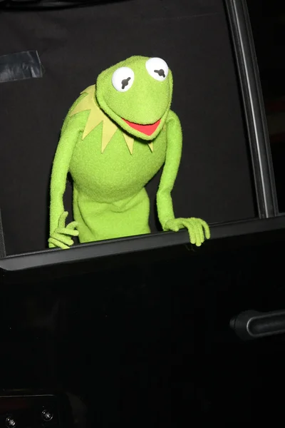 Kermit la rana —  Fotos de Stock