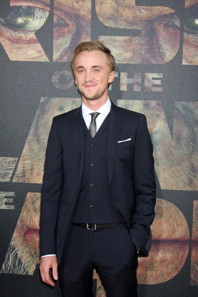 Tom Felton — Stock Photo, Image