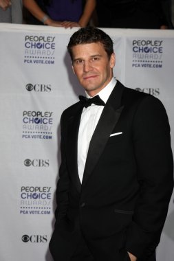David Boreanaz