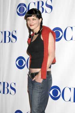 Pauley Perrette