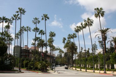 beverly hills otel