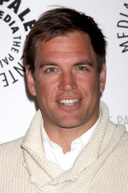 Michael Weatherly'nin