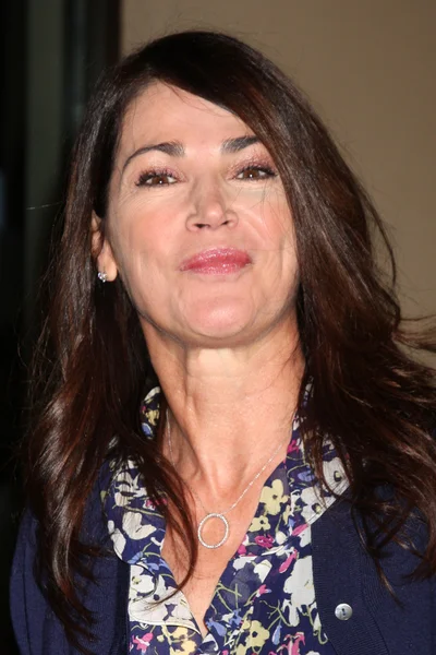 Kim Delaney. — Foto de Stock