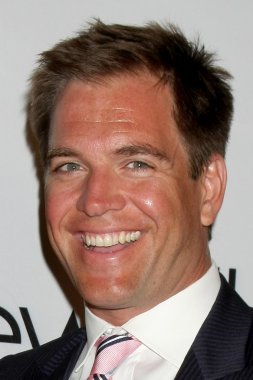Michael Weatherly'nin