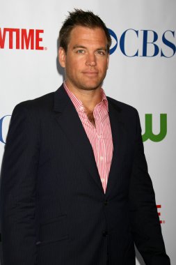 Michael Weatherly'nin