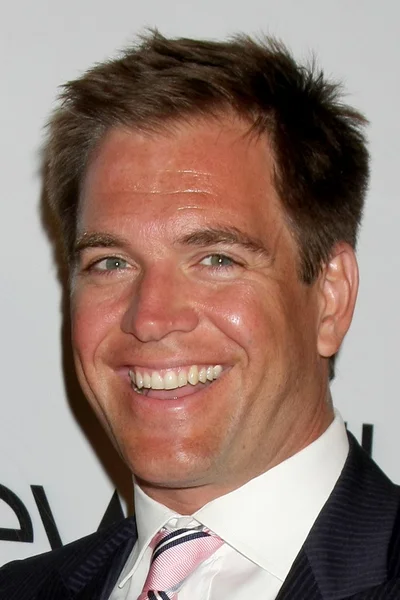 Michael Weatherly'nin