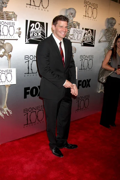 David Boreanaz — Stockfoto