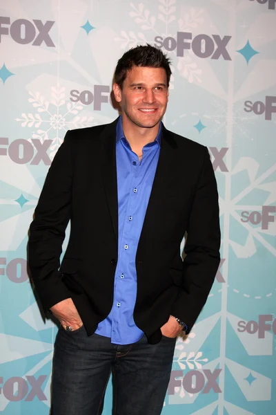 David Boreanaz — Fotografia de Stock