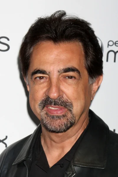 Joe Mantegna — Stock Photo, Image