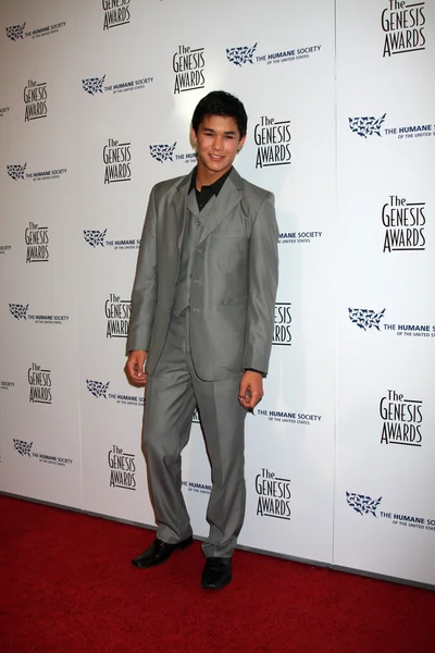 Booboo Stewart — Stock fotografie