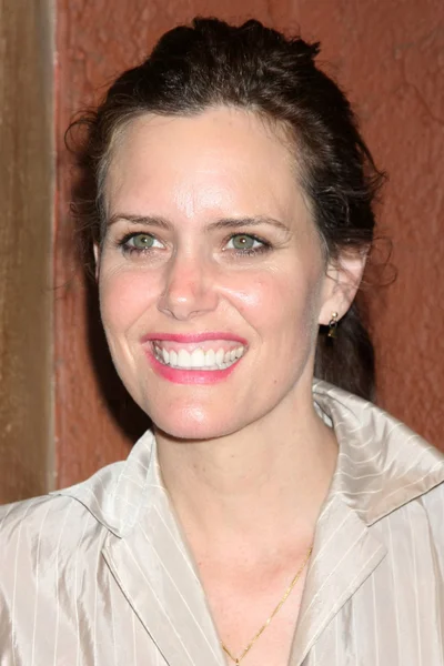 Ione Skye — Stockfoto