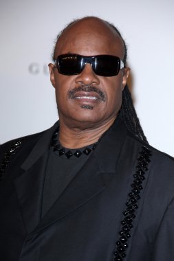 Stevie Wonder