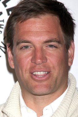 Michael Weatherly'nin