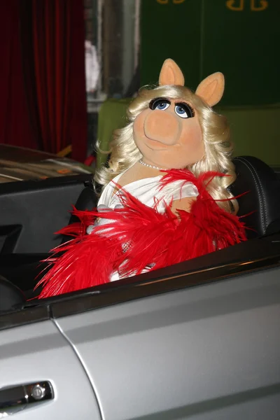 Señorita Piggy —  Fotos de Stock