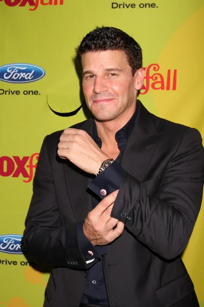 David Boreanaz — Stock Photo, Image