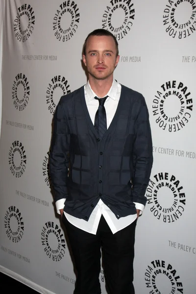 Aaron Paul