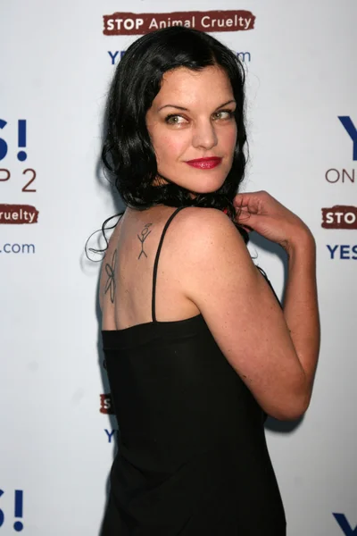 Pauley Perrette — Stock fotografie