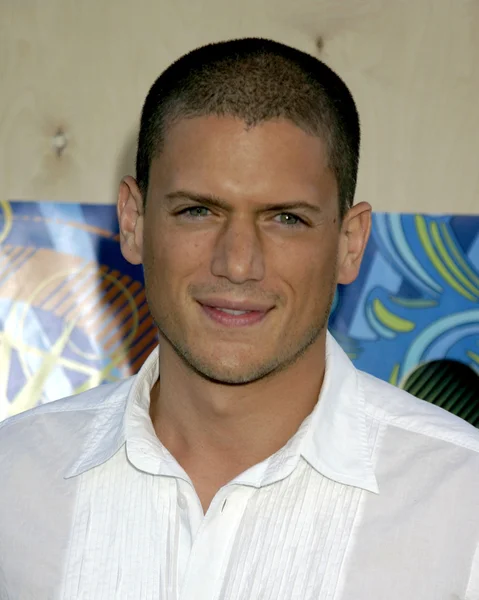 Wentworth Miller — Stok fotoğraf