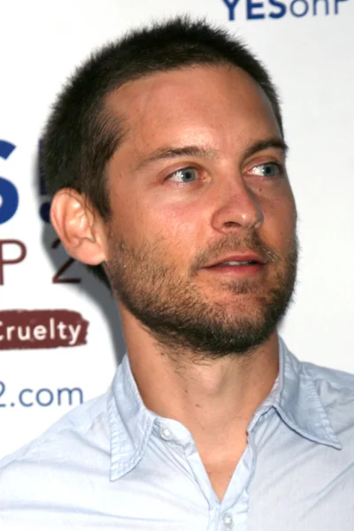 Tobey Maguire — Stock Photo, Image