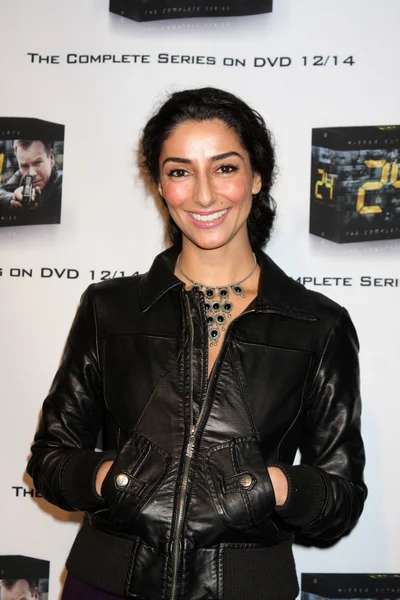 Necar Zadegan — Stock Photo, Image