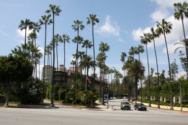 beverly hills otel