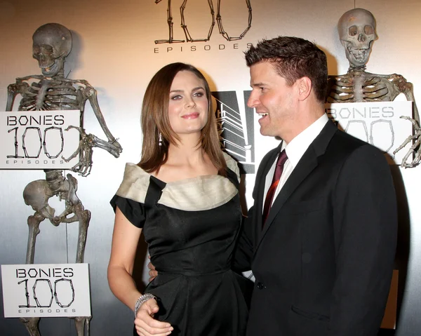 Emily Deschanel & David Boreanaz — Stock fotografie