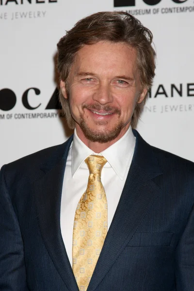 Stephen Nichols. — Foto de Stock