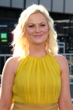 Amy Poehler