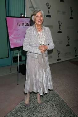 senaryo yazarı