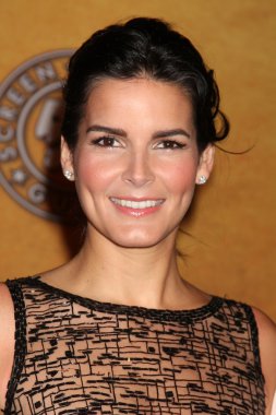 Angie harmon