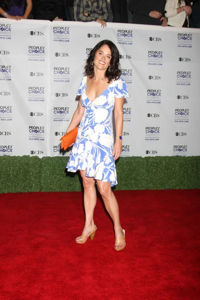 Robin Tunney — Photo