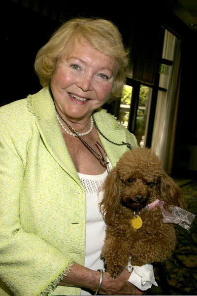 Lee Bell & hendes hund glæde - Stock-foto