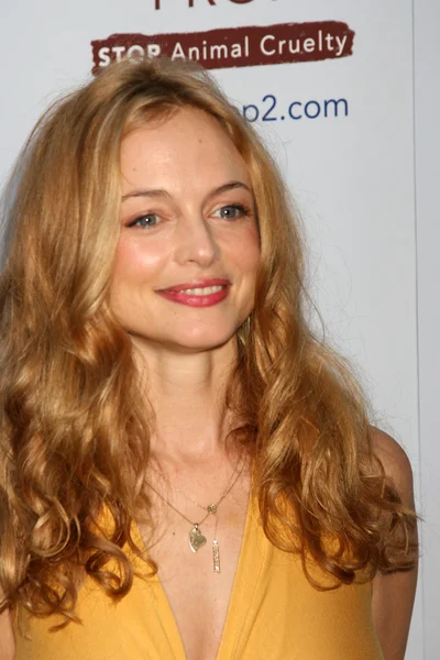 Heather Graham — Stockfoto