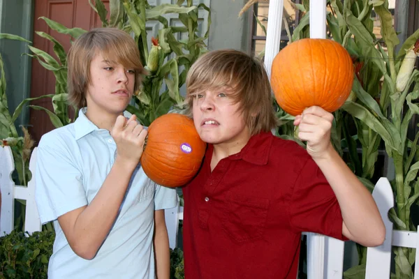 Cole e Dylan Sprouse — Foto Stock