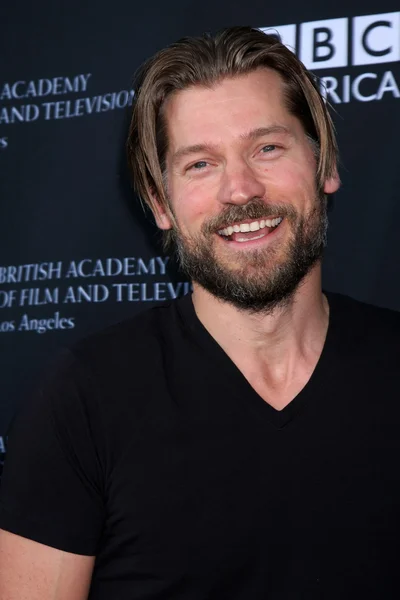 Nikolaj Coster-Waldau — Stock Photo, Image