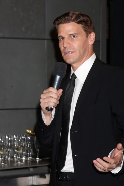 David Boreanaz — Stockfoto