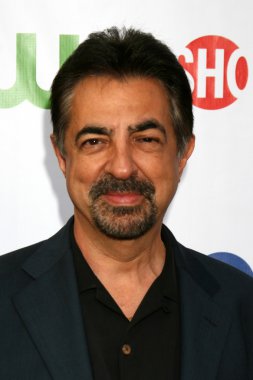 Joe Mantegna