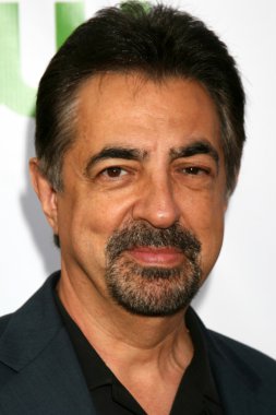 Joe Mantegna